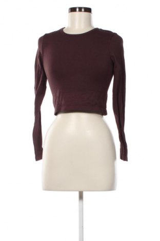 Damen Shirt H&M, Größe M, Farbe Braun, Preis € 3,99