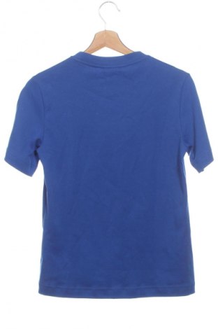 Dámská halenka Massimo Dutti, Velikost XS, Barva Modrá, Cena  1 016,00 Kč