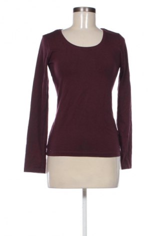 Damen Shirt Miss Etam, Größe M, Farbe Rot, Preis € 13,99