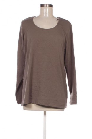 Damen Shirt Miss Etam, Größe XL, Farbe Braun, Preis € 13,99