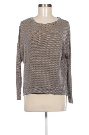 Damen Shirt NEW COLLECTION, Größe M, Farbe Mehrfarbig, Preis € 23,99