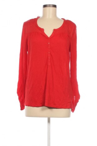 Damen Shirt Orsay, Größe L, Farbe Rot, Preis € 13,99