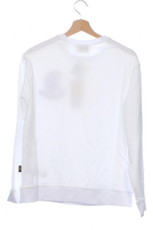 Damen Shirt Plein Sport, Größe XS, Farbe Weiß, Preis € 34,99