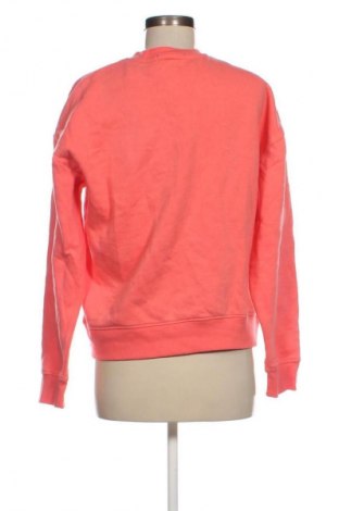 Damen Shirt Primark, Größe S, Farbe Rot, Preis € 4,99