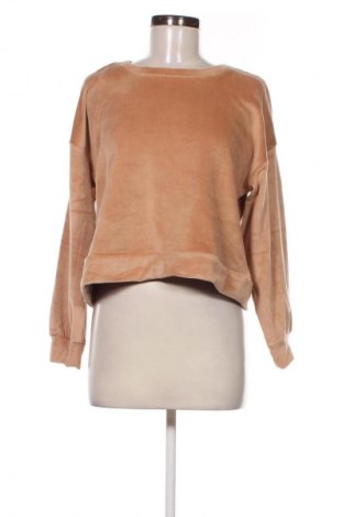 Damen Shirt Sinsay, Größe S, Farbe Beige, Preis € 4,99