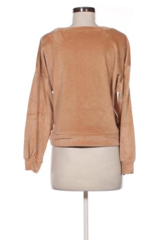 Damen Shirt Sinsay, Größe S, Farbe Beige, Preis € 4,99