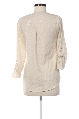 Damen Shirt Zara, Größe S, Farbe Mehrfarbig, Preis € 6,99