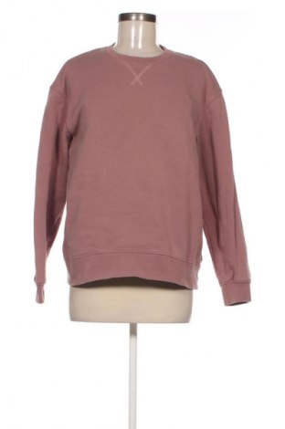 Damen Shirt Zara, Größe L, Farbe Aschrosa, Preis € 10,99