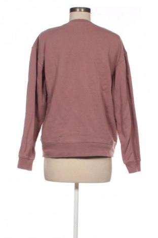 Damen Shirt Zara, Größe L, Farbe Aschrosa, Preis € 10,99