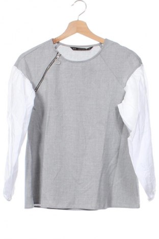Damen Shirt Zara, Größe XS, Farbe Grau, Preis € 3,99