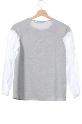 Damen Shirt Zara, Größe XS, Farbe Grau, Preis € 3,99