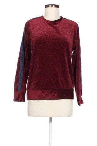 Damen Shirt Zeeman, Größe M, Farbe Rot, Preis € 3,99