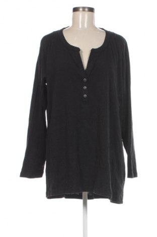 Damen Shirt Zizzi, Größe L, Farbe Schwarz, Preis € 43,99