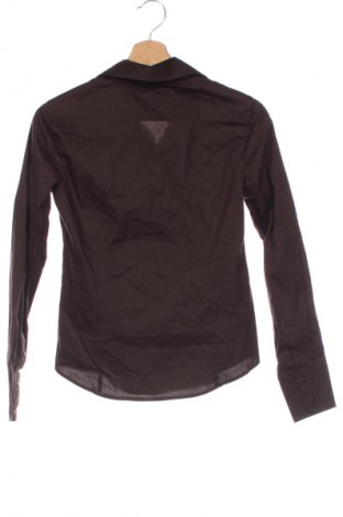 Damenbluse Esprit, Größe XXS, Farbe Braun, Preis 64,99 €