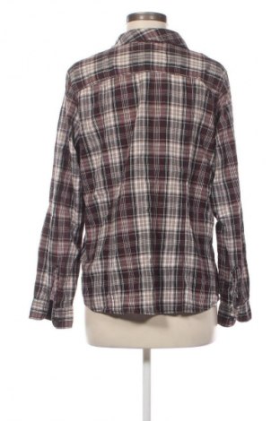 Damenbluse Janina, Größe XL, Farbe Mehrfarbig, Preis € 3,99
