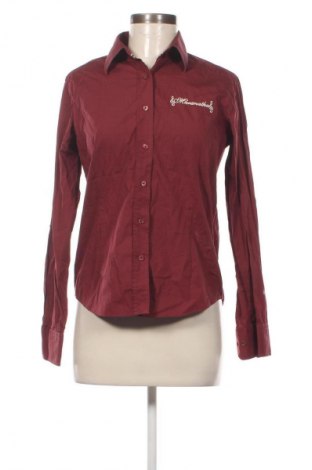 Damenbluse Payper, Größe L, Farbe Rot, Preis 3,99 €