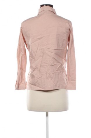 Damenbluse Tex, Größe L, Farbe Beige, Preis 5,99 €