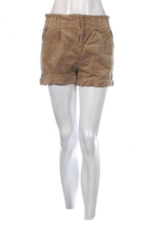 Damen Shorts Cider, Größe XL, Farbe Braun, Preis € 9,99