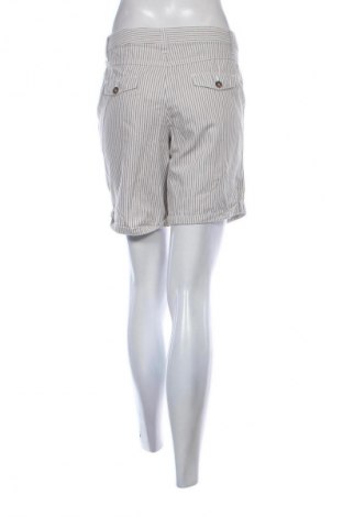 Damen Shorts Hema, Größe L, Farbe Mehrfarbig, Preis € 7,83