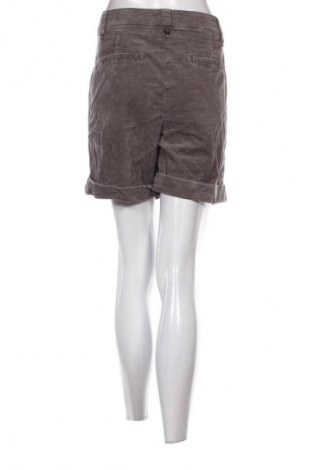 Damen Shorts Taifun, Größe L, Farbe Grau, Preis € 16,99