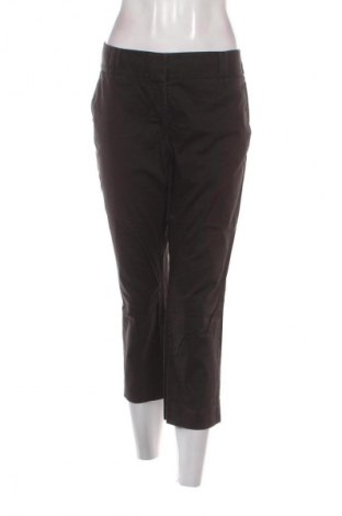 Damenhose Halogen, Größe XL, Farbe Schwarz, Preis € 3,99