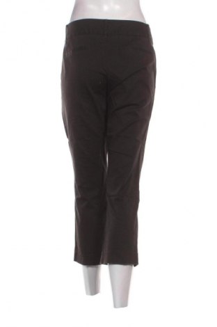 Damenhose Halogen, Größe XL, Farbe Schwarz, Preis € 3,99