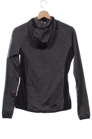 Damen Sweatshirt Maul, Größe XS, Farbe Grau, Preis € 10,99