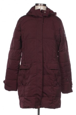 Damenjacke Gaastra, Größe L, Farbe Lila, Preis € 28,99