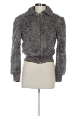 Damenjacke Mango, Größe M, Farbe Grau, Preis € 9,93