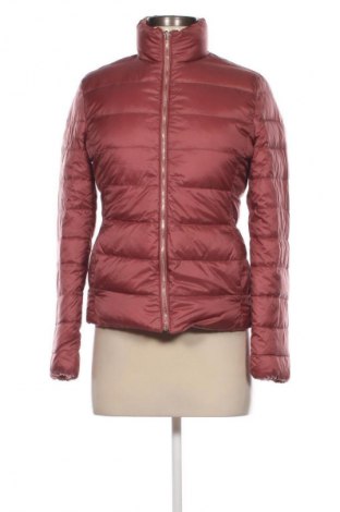 Dámská bunda  Massimo Dutti, Velikost S, Barva Růžová, Cena  1 539,00 Kč