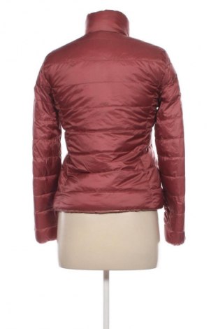 Dámská bunda  Massimo Dutti, Velikost S, Barva Růžová, Cena  1 539,00 Kč