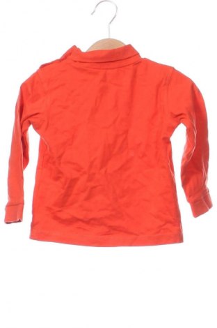 Kinder Shirt C&A, Größe 12-18m/ 80-86 cm, Farbe Orange, Preis € 7,99