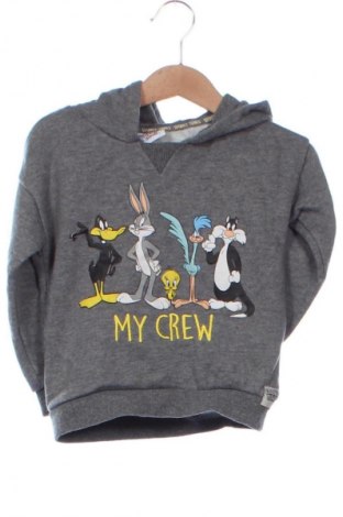 Dětská halenka  Looney Tunes, Velikost 18-24m/ 86-98 cm, Barva Šedá, Cena  179,00 Kč