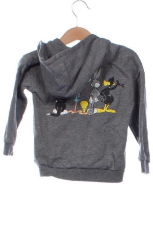 Dětská halenka  Looney Tunes, Velikost 18-24m/ 86-98 cm, Barva Šedá, Cena  179,00 Kč