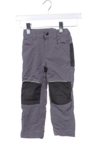 Spodnie dziecięce do sportów zimowych Crane, Rozmiar 2-3y/ 98-104 cm, Kolor Szary, Cena 133,99 zł