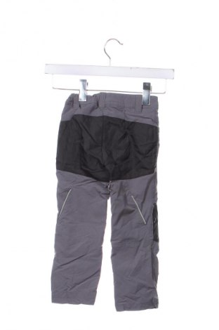 Spodnie dziecięce do sportów zimowych Crane, Rozmiar 2-3y/ 98-104 cm, Kolor Szary, Cena 133,99 zł