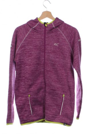 Kinder Sweatshirts Regatta, Größe 14-15y/ 168-170 cm, Farbe Mehrfarbig, Preis € 16,99