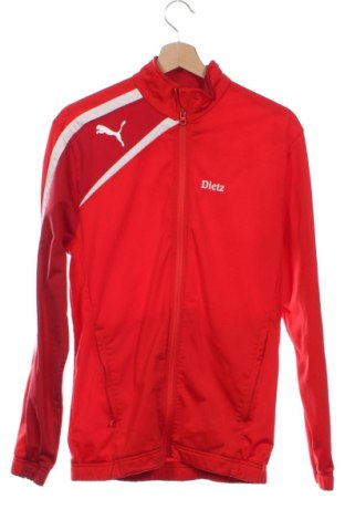 Dziecięca sportowa bluza PUMA, Rozmiar 15-18y/ 170-176 cm, Kolor Czerwony, Cena 111,99 zł