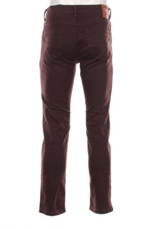 Herren Jeans Brax, Größe M, Farbe Braun, Preis € 52,99