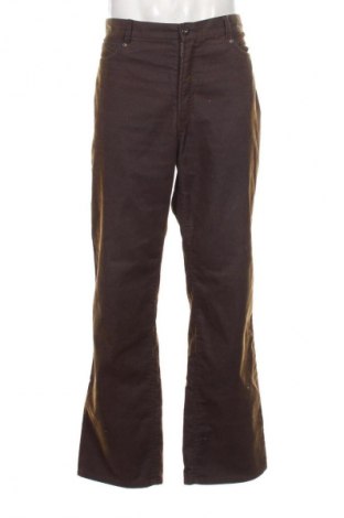 Herren Cordhose Hazard, Größe XL, Farbe Mehrfarbig, Preis 33,99 €