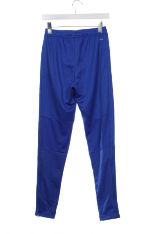 Herren Sporthose Adidas, Größe XS, Farbe Blau, Preis € 33,99