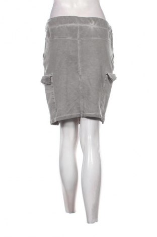 Fustă Unbranded, Mărime M, Culoare Gri, Preț 48,83 Lei