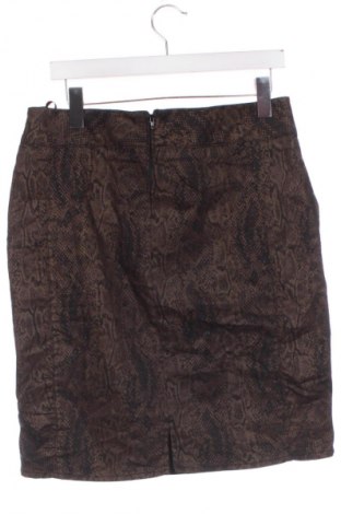 Fustă Biba, Mărime XL, Culoare Multicolor, Preț 19,99 Lei