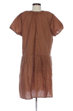 Sukienka Unbranded, Rozmiar XXL, Kolor Brązowy, Cena 66,67 zł