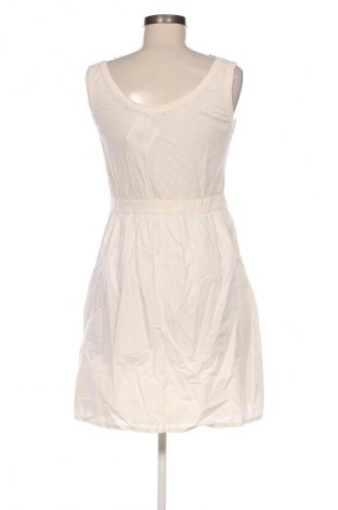 Kleid ASOS, Größe M, Farbe Beige, Preis € 33,99