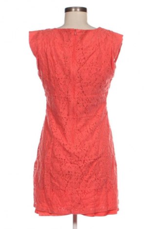 Kleid Apricot, Größe L, Farbe Orange, Preis 33,99 €