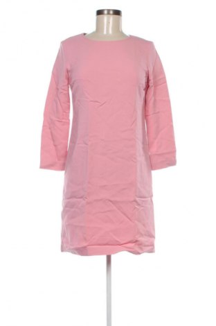 Kleid Cinque, Größe M, Farbe Rosa, Preis 56,99 €