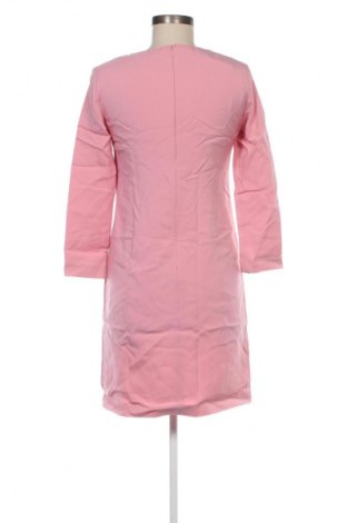 Kleid Cinque, Größe M, Farbe Rosa, Preis 56,99 €