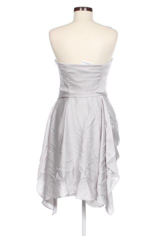 Φόρεμα Coast, Μέγεθος M, Χρώμα Γκρί, Τιμή 39,99 €