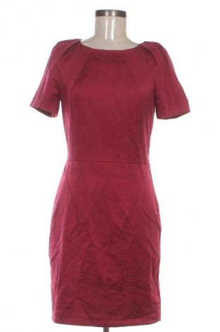 Kleid Coast, Größe S, Farbe Rot, Preis 56,99 €